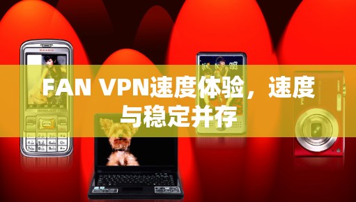 FAN VPN速度体验，速度与稳定并存