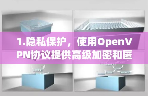 1.隐私保护,使用OpenVPN协议提供高级加密和匿名性 1.隐私保护,使用OpenVPN协议提供高级加密和匿名性