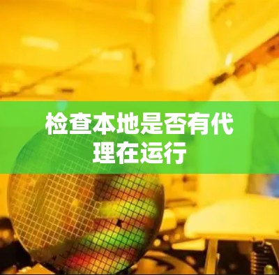 检查本地是否有代理在运行 检查本地是否有代理在运行