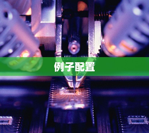 例子配置 例子配置