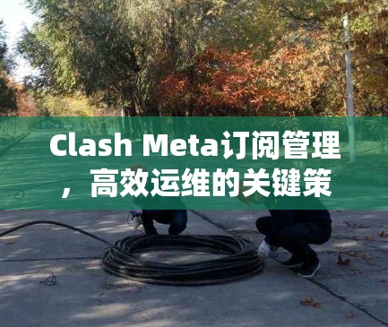 Clash Meta订阅管理,高效运维的关键策略 Clash Meta订阅管理,高效运维的关键策略