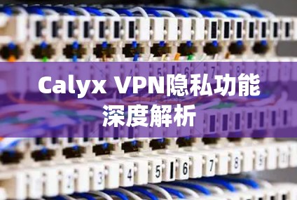 Calyx VPN隐私功能深度解析 Calyx VPN隐私功能深度解析