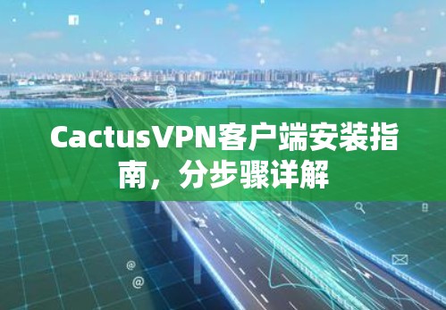CactusVPN客户端安装指南，分步骤详解
