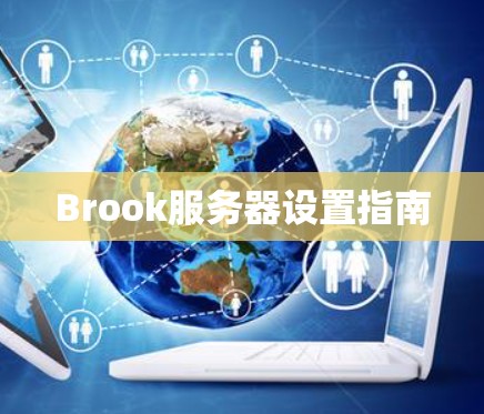 Brook服务器设置指南