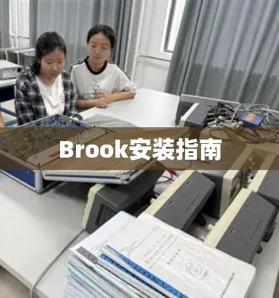 Brook安装指南 Brook安装指南