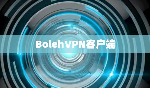 BolehVPN客户端 BolehVPN客户端