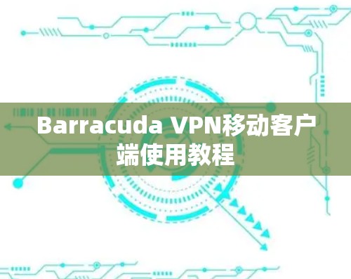 Barracuda VPN移动客户端使用教程 Barracuda VPN移动客户端使用教程